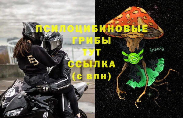 не бодяженный Новозыбков