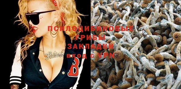 не бодяженный Новокубанск